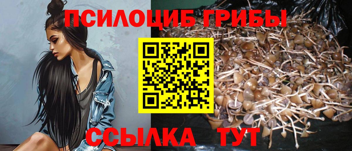 Псилоцибиновые грибы мухоморы  Псилоцибиновые грибы GOLDEN TEACHER  наркотики  Артём  Вход с VPN 